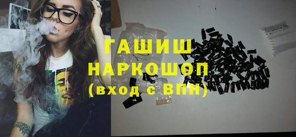 индика Горнозаводск