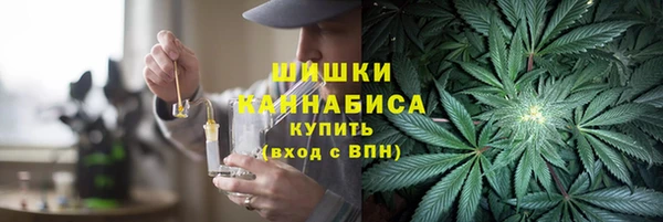 индика Горнозаводск
