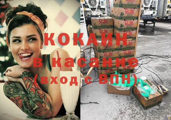 индика Горнозаводск