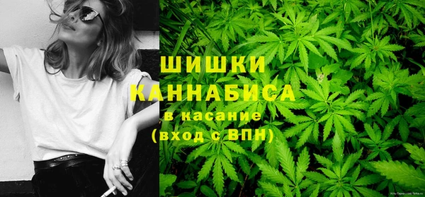 индика Горнозаводск