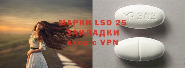 индика Горнозаводск
