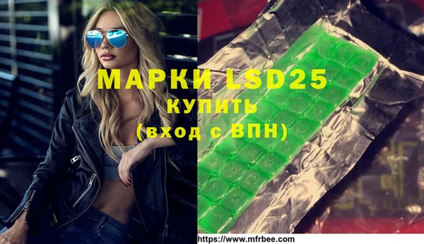 индика Горнозаводск