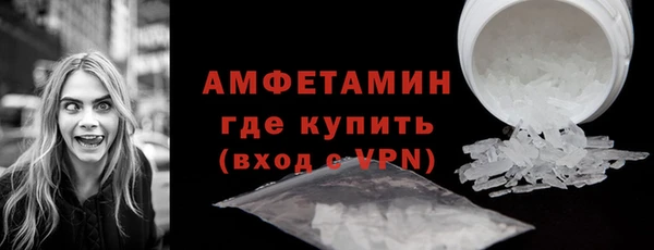 индика Горнозаводск