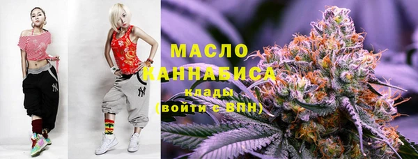 2c-b Горняк