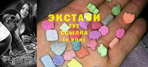 индика Горнозаводск