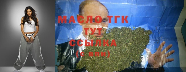 индика Горнозаводск