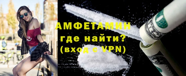 индика Горнозаводск