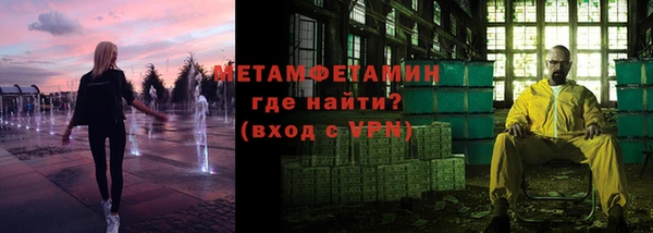 индика Горнозаводск