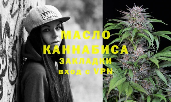 индика Горнозаводск