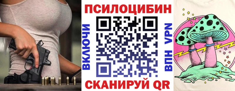 Купить  Ржев  Галлюциногенные грибы GOLDEN TEACHER 